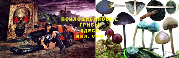 герыч Алексин