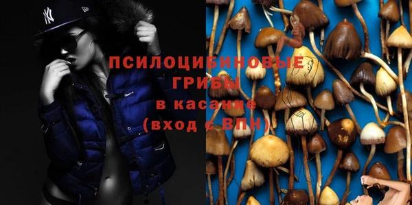 герыч Алексин