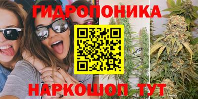 прущие крисы Рыбинск